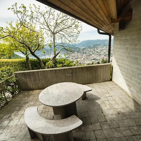 Camelia Con Vista Sul Lago Di Lugano